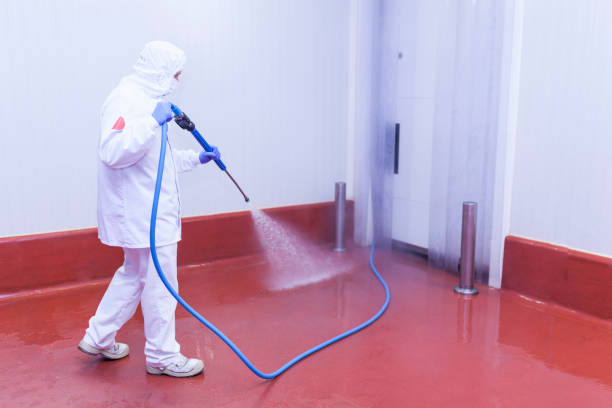 Best Rust Removal  in Odessa, FL